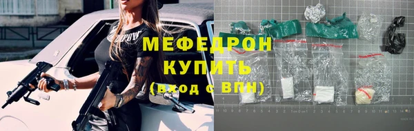 шишки Няндома