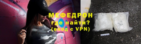 шишки Няндома