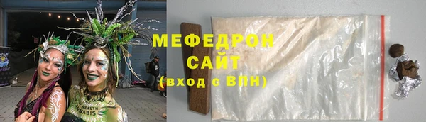 шишки Няндома