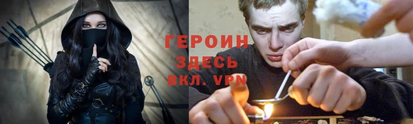 гидра Новодвинск