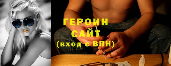 шишки Няндома