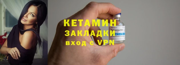 шишки Няндома
