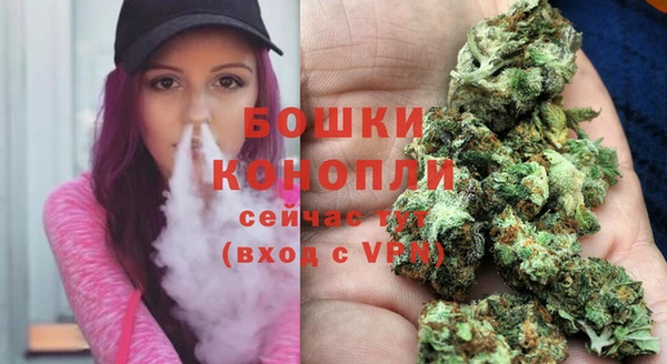 шишки Няндома