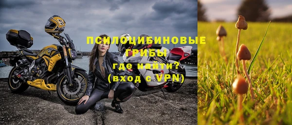 шишки Няндома