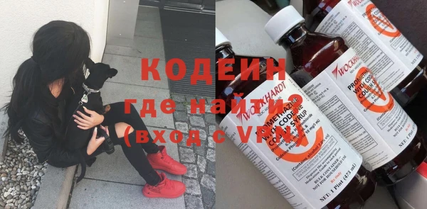 шишки Няндома