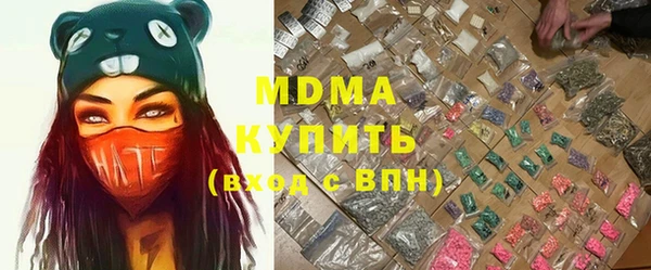 шишки Няндома