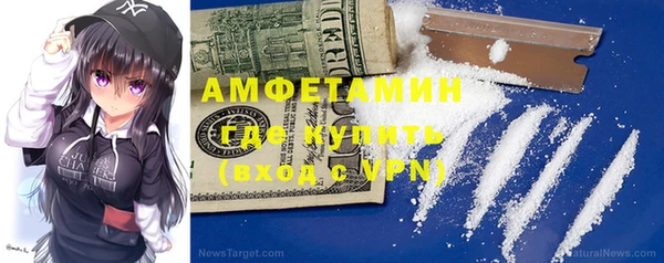шишки Няндома