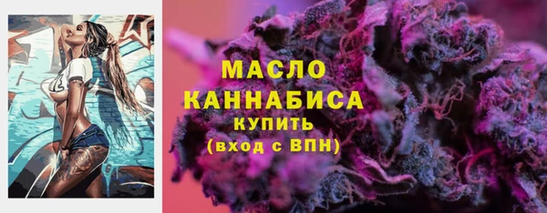 стаф Гатчина