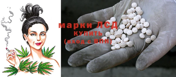 spice Всеволожск