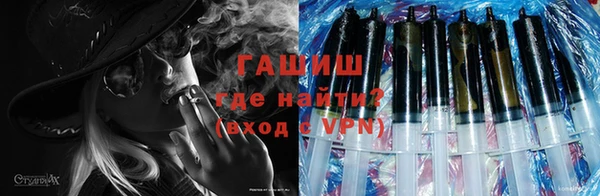 шишки Няндома