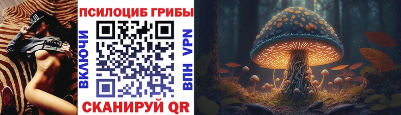 Псилоцибиновые грибы GOLDEN TEACHER  купить наркоту  Куртамыш 